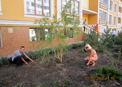 Екскурсія до створеного об’єкту з озеленення та благоустрою території двору багатоповерхового житлового будинку в м. Одеса